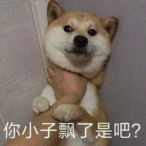 你小子飘了是吧？