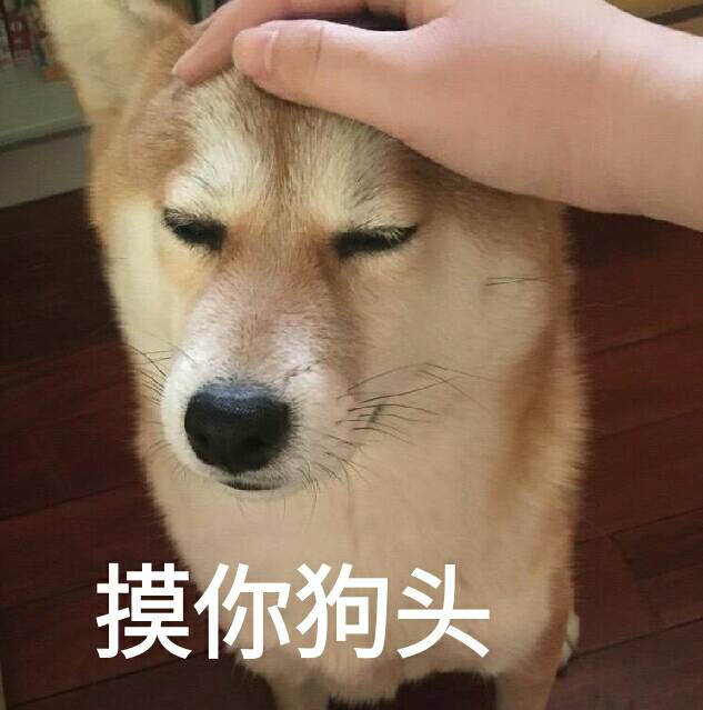 摸你狗头