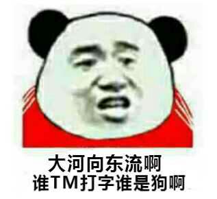 大河向东流啊，谁TM打字谁是狗啊