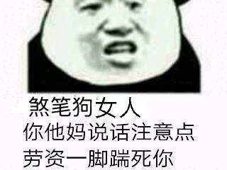 煞笔狗女人，你他妈说话注意点，劳资一脚踹死你