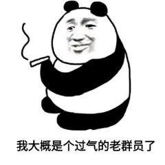 我大概是个过气的老群员了