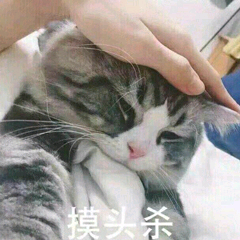 摸头杀