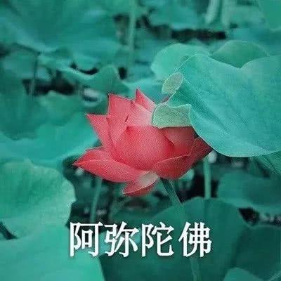 搞笑微信头像_微信头像_我要个性网