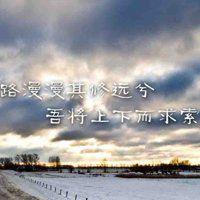 文字积极向上正能量微信头像_微信头像图片大全