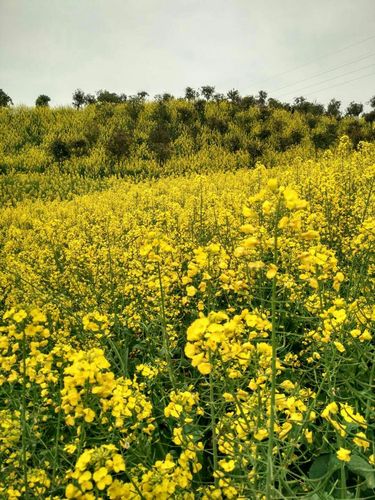 外面阳光明媚.人们尽情地享受春天的气息.万物生机勃勃.回归大自然吧 
