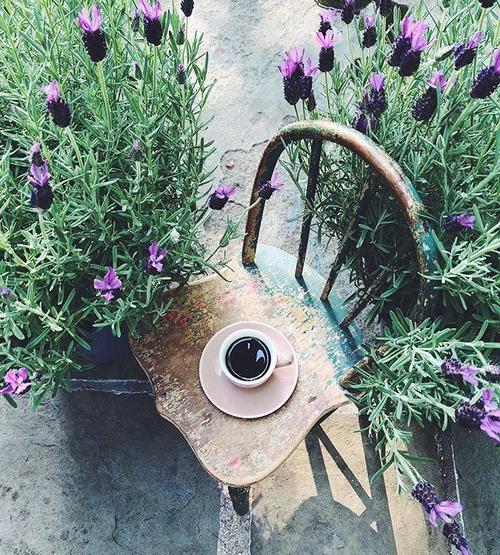 周末早安心语正能量语录,阳光明媚,让人心情明朗!-搜狐大视野-搜狐新