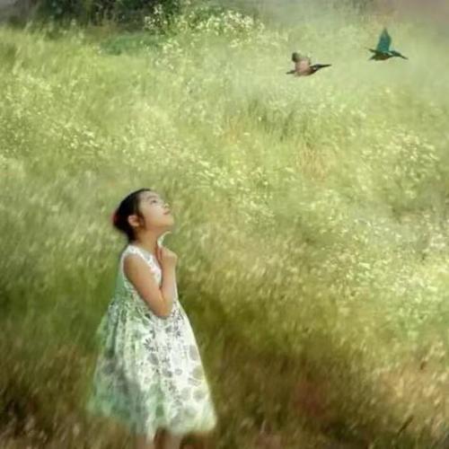 通过微信头像看自己