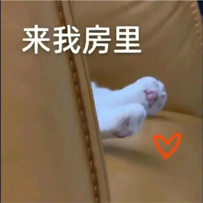 2023最新微信可爱表情大全 聊天必备的优质表情合集