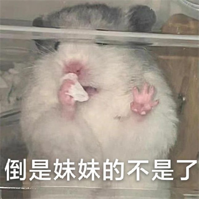 给自己好朋友发的幽默表情 送给我的辣妹爱你