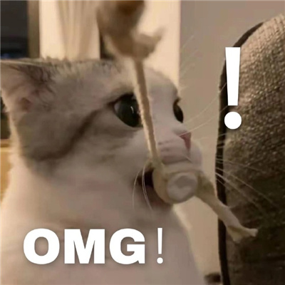 笑到窒息的沙雕表情 你让我觉得冷散了吧