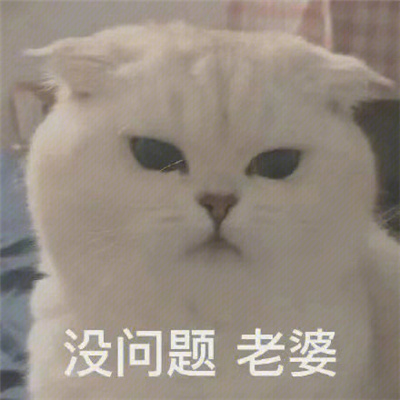 一看就会存图的搞怪表情 抖音热门搞怪的聊天表情