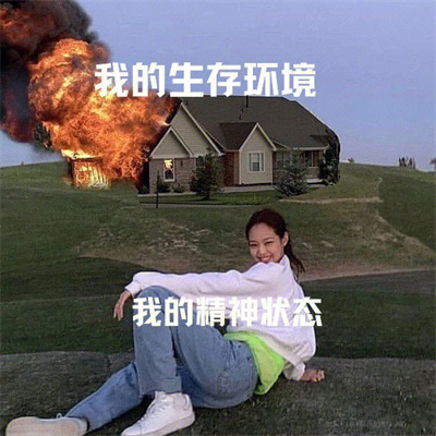 暴走有趣的欢乐表情 累了这个b世界