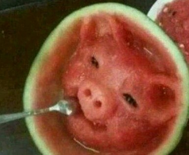 在西瓜里藏着一个猪八戒