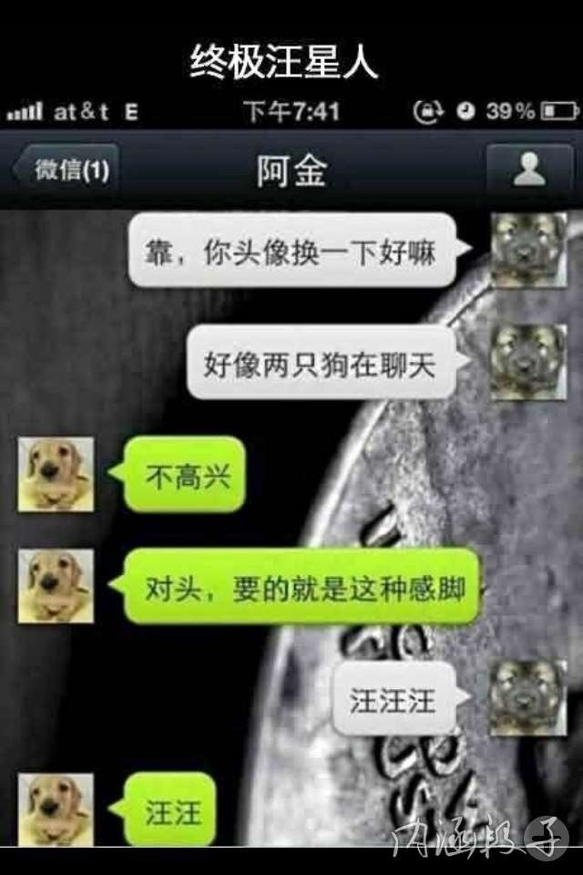 终极汪星人的对话