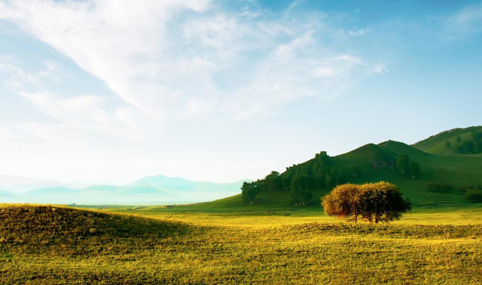 农村里才会有的田园美景