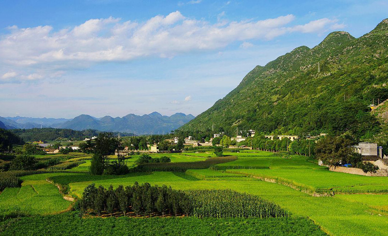 思念家乡的田园美景