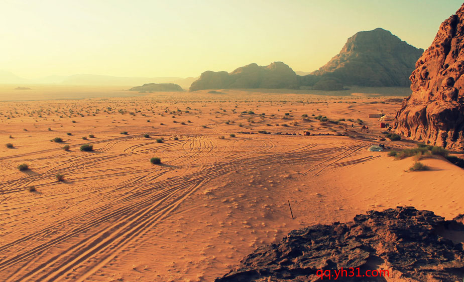 沙漠中的美丽风景