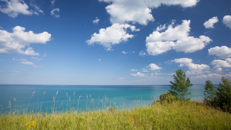 蓝天白云大海绿草，好一幅完美的画卷