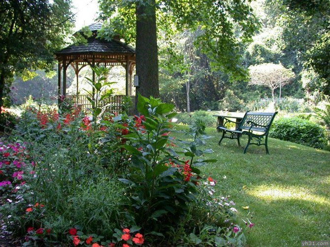 清爽干净的花园