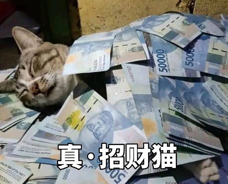 这只招财猫真的能招财