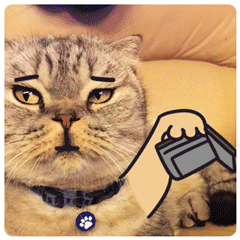 穷啊，钱包都空了