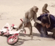 我抽你一根烟怎么啦？老子踢死你