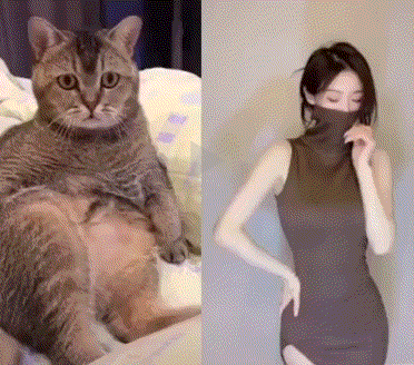 色色的猫咪专心看美女扭腰