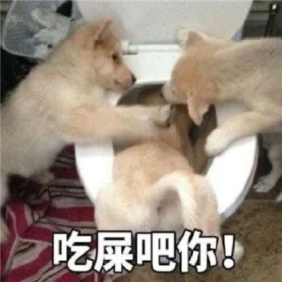 一定要保存的搞怪型表情 满满欢乐的好笑表情