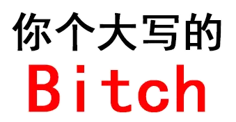 你个大写的Bitch（文字表情）