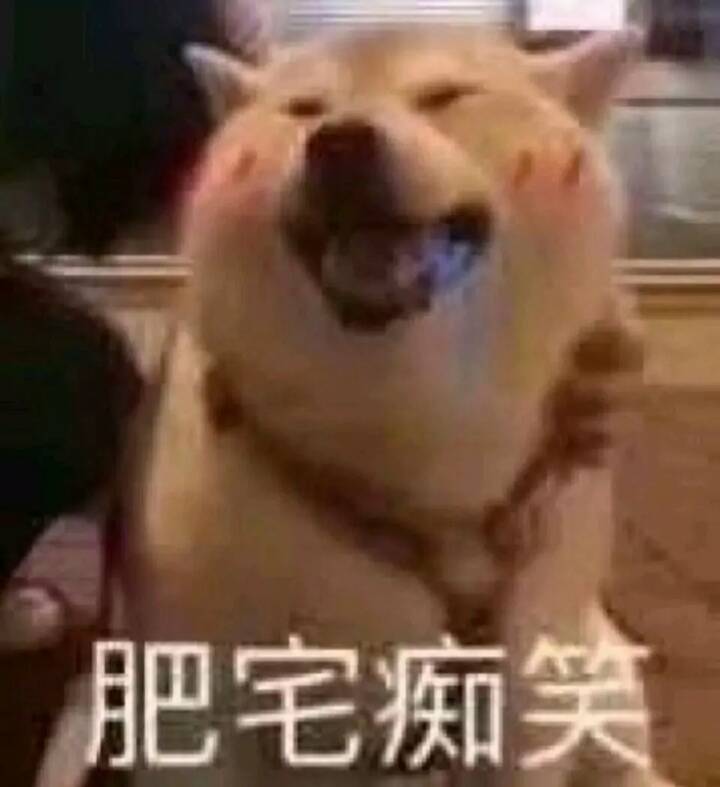 肥宅痴笑
