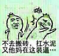 不去搬砖，扛水泥，又他妈在这装逼。