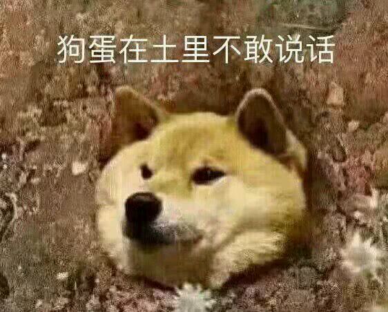 狗蛋在士里不敢说话