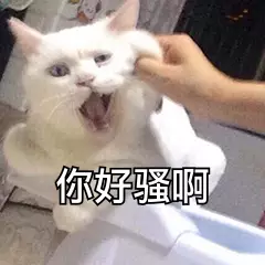 你好骚啊