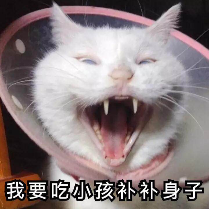 我要吃小孩补补身子