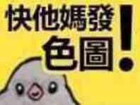 快他媽發色圖