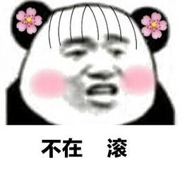 不在滚