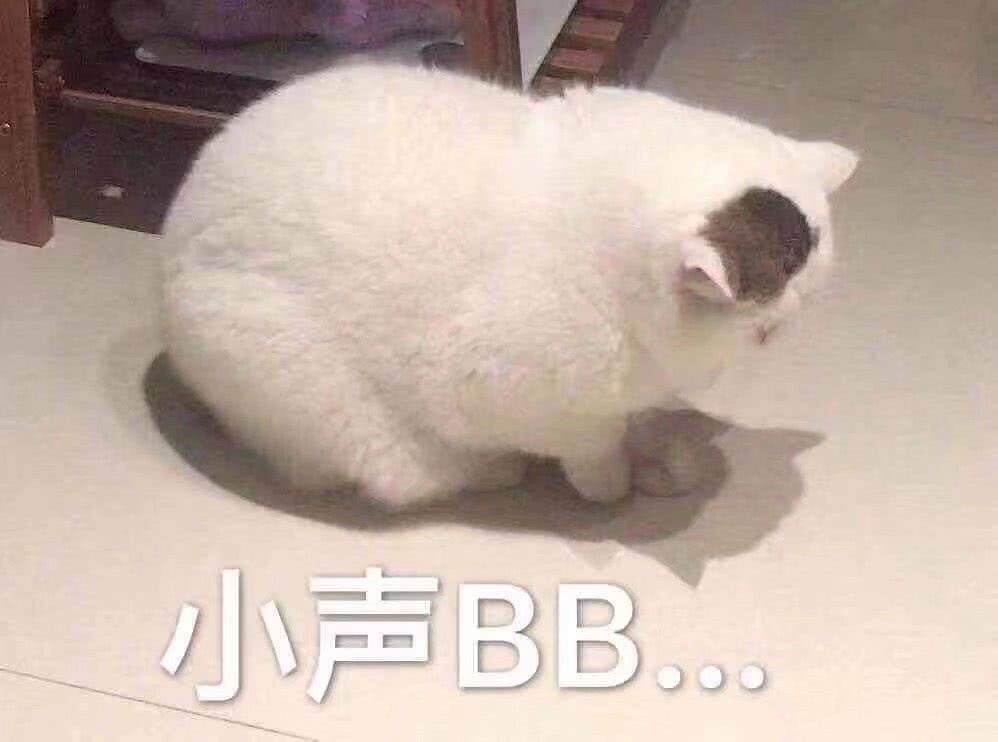 小声BB