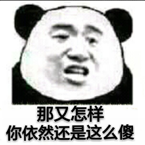 那又怎样，你依然还是这么傻！