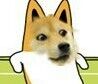 doge搞高姿势