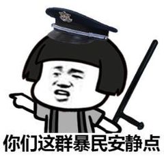 你们这群暴民安静点