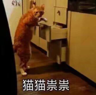 猫猫祟祟