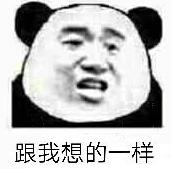 跟我想的一样