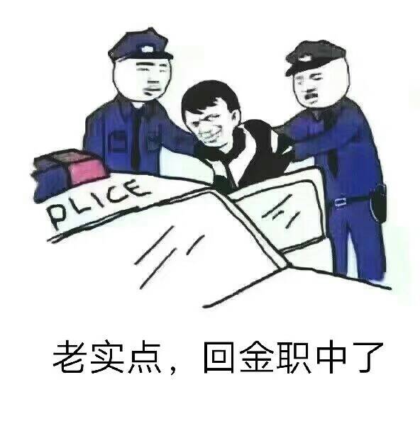 老实点，回金职中了