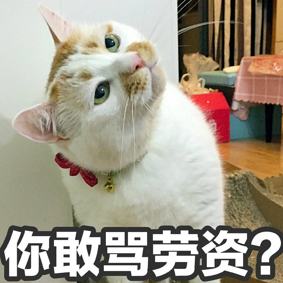 你敢骂劳资?