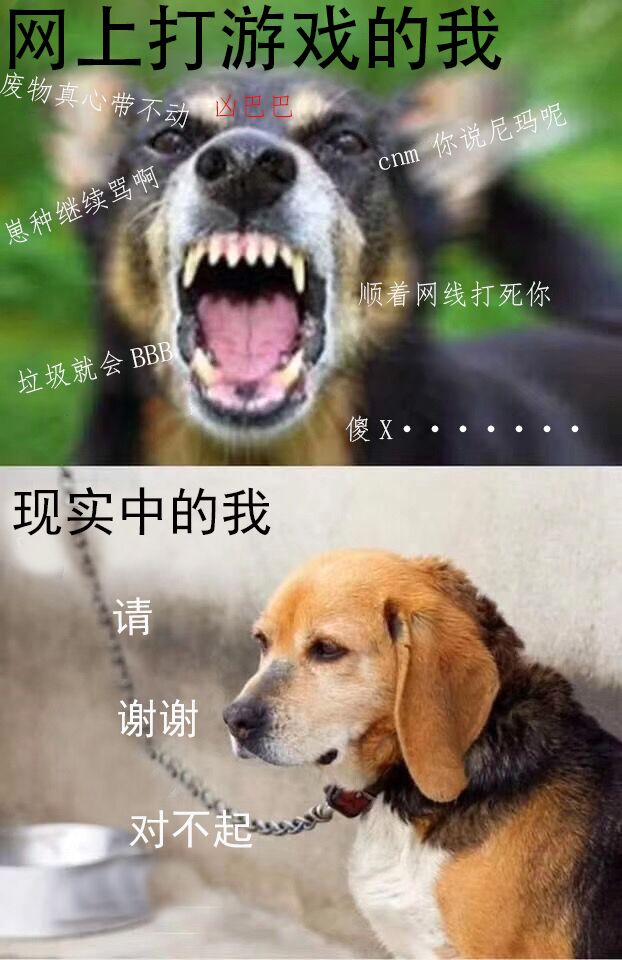 网上打游戏的我