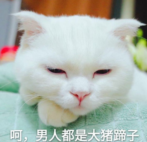 呵，男人都是大猪蹄子