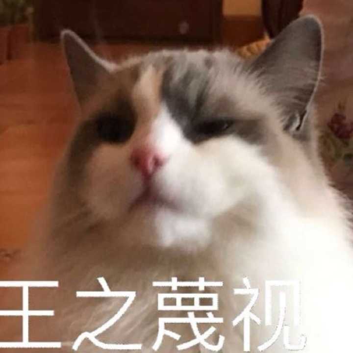 之茴戍