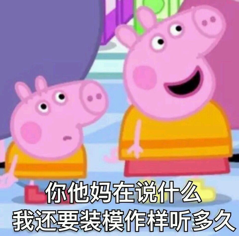 你他妈在说什么，我还要装模作样听多久