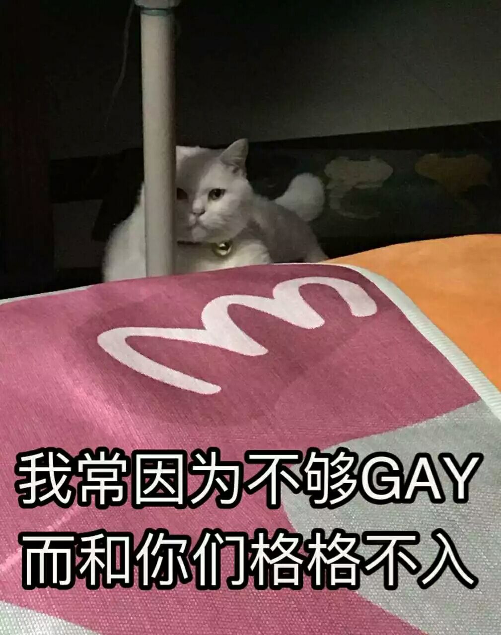 我常因为不够gay而和你们格格不入