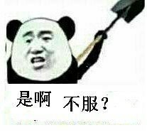 是啊，不服？